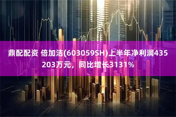 鼎配配资 倍加洁(603059SH)上半年净利润435203万元，同比增长3131%