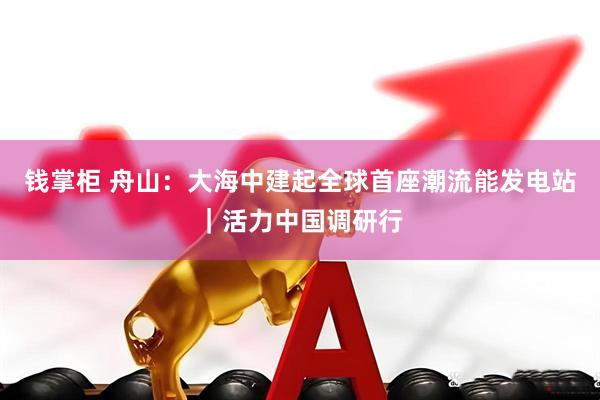 钱掌柜 舟山：大海中建起全球首座潮流能发电站｜活力中国调研行