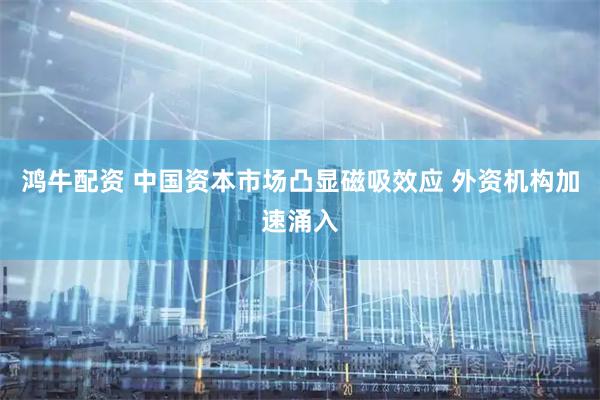 鸿牛配资 中国资本市场凸显磁吸效应 外资机构加速涌入