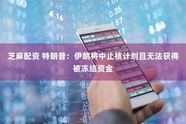 芝麻配资 特朗普：伊朗将中止核计划且无法获得被冻结资金
