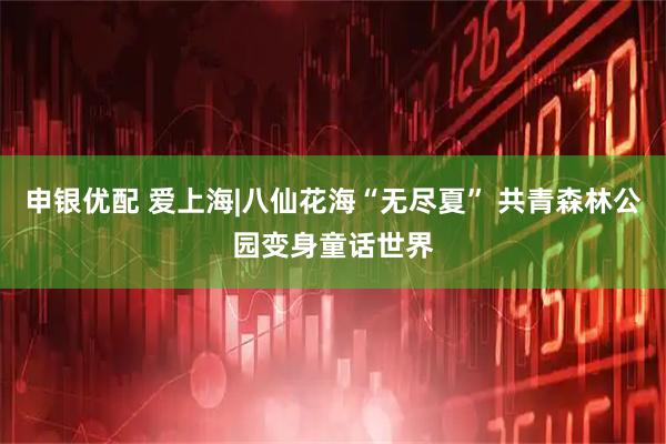申银优配 爱上海|八仙花海“无尽夏” 共青森林公园变身童话世界