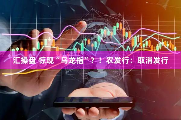 汇操盘 惊现“乌龙指”？！农发行：取消发行