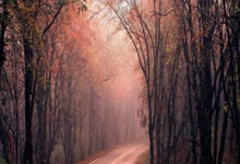 杠杆炒股网:广东股票配资-家电三巨头半年考：格力独木难支 海尔美的多元破局